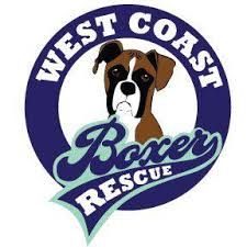 Our mission is to rescue and find homes for stray, abandoned, neglected, abused and surrendered boxers. West Coast Boxer Rescue Home Facebook