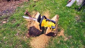 Black And Decker Vs Dewalt Reddit Dewalt Chainsaw After Seeing Someone Put A 14 Bar On The Dewalt 20v Max I Thought Why Not I Have Had This Huge Stump Log In My Back Yard Since I Bought The