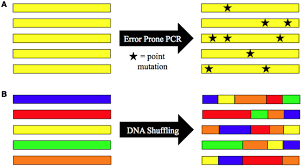 Image result for Black 1999 AAV