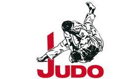 Judo kanji & logo trucker hat $12.99: áˆ Judo Logo 20 Logo Beispiele Design Tipps Logaster
