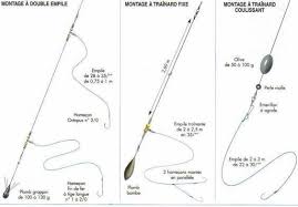 Image Voici Trois Montage Pour Le Surfcastion Roro33 Team Surfcasting Airport Cote Aquitaine Skyrock Com Pesca In Mare Pesce Lenza