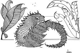 All free coloring pages online at here. Chameleons And Lizards Coloring Pages For Adults