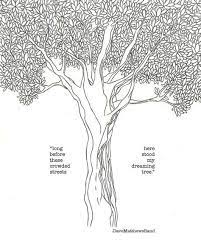 Dreaming Tree Quotes Treeideas Tree Ideas Dave Matthews Band Dave Matthews Matthews