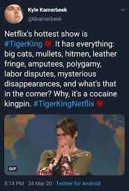 Somehow, the docuseries fit every single plot you could ask for into just seven episodes. Hey All You Cool Cats And Kittens The Best Tiger King Memes