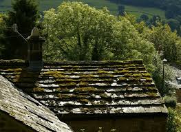 Ainsi, vous pouvez en assurer que le traitement ne soit pas emporté ni par le vent ni par la pluie. L Astuce Toute Bete Contre La Mousse Sur Le Toit De La Maison