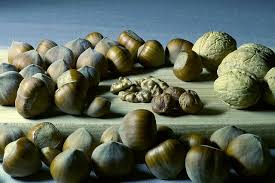 In particolar modo, ottime risorse di questo minerale sono le verdure a foglie verdi, i legumi, le noci, i semi e farina integrale. Alimenti Piu Ricchi Di Magnesio Quali Sono Elenco E Fabbisogno