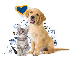 Our affordable animal hospital serves the northeastern los angeles area from our affordable veterinarian clinic in eagle rock. Mercy Pet Clinic Houston S Low Cost Veterinary Clinic Spay Neuter Vaccines More