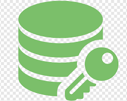 Image of Data Encryption logo