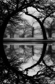 Beautiful Scenery Images Black And White Latest Additions White Photography White Picture Black And White Pictures