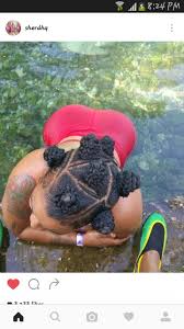 Jamaican Chiney Bump Hairstyle Bump Hairstyles Dreadlock Hairstyles Natural Hair Styles