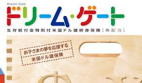 www.hoken-laundry.com
