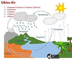 Di dalam susu yang dipanaskan ini, kandungan laktosa, mineral, lemak, kalsium, dan vitamin tetap dipertahankan selama proses ini. 5 Tahapan Daur Air Idschool