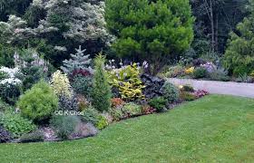 Garden Canadensis Conifers Garden Vegetable Garden Design Backyard Landscaping Designs