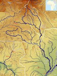 Image result for Phacelurus gabonensis