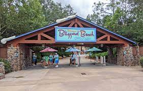 The Amazingly Cool Guide To Disney S Blizzard Beach Water Park