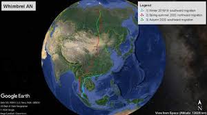 Film semi korea no sensor 2021 khusus dewasa 21+ subindonesia.mp4. Croucher Ecology