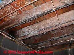 See full list on alldryus.com Mold Mildew Cleaning Product Guide Mold Solutions Mold Sprays Mold Cleaners Or Other Approaches To Mold Cleaning Systems What To Use To Get Rid Of Mold