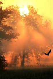 You Flow Like A Feather In A Beautiful World Pin By Steve Alley On Kunst Beautiful Sunrise Nature Photography Sunrise