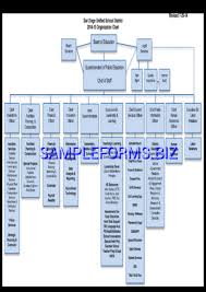 School Organizational Chart Templates Samples Forms