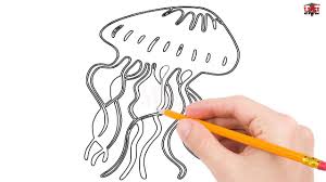 3.from left to right, draw tentacles of similar size. How To Draw A Jellyfish Step By Step Easy For Beginners Simple Jellyfishes Drawing Tutorial Youtube
