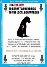 Maybe you would like to learn more about one of these? Help Find Rufus Help Find Rufus Added A New Photo