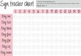 syn tracker chart in 2019 slimming world slimming world