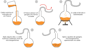 Louis pasteus e seu pescoço de cisne. Abiogenese X Biogenese Biologia Infoescola