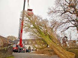 Wer also wenig bis keine erfahrung in diesem bereich hat, sollte selbst keinen baum fällen. Baumfallung Galabau Mahler Baum Fallen