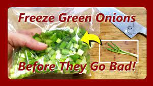 Roll up the bag tightly, securing the ends with rubber bands or binder clips. Freeze Green Onions Before They Go Bad Youtube