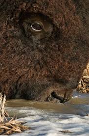 Patricia Hellard (patriciahellard)