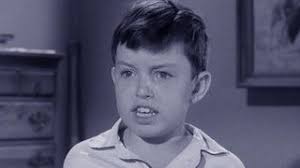 Leave It to Beaver (TV Series 1957-1963) — The Movie Database (TMDB)