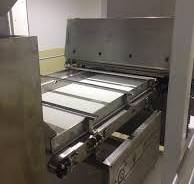 Best Belt Type Color Sorter | Custom Optical Sorting