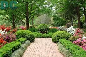 Beautiful Nature Hd Wallpapers Top Free Hd Wallpapers Beautiful Green Tree And Red Flower Very Att Arbustos De Jardin Fondos De Jardines Decoraciones De Jardin
