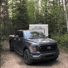 Image result for Dark Yellow Green 2022 Fleet