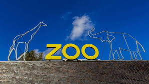 Welcome to the zoo wiki, a collaborative encyclopedia for everything and anything related to cbs american drama series zoo. Der Kolner Zoo Koeln De