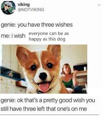 Pin On Pets Their Humans