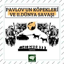 Iri Psikoloji On Instagram Ivan Pavlov Un Kopek Salgilari Uzerine Yaptigi Bir Arastirma Sonrasinda Elde Ettigi Sonuclari Donemin 2020 Psikoloji Yenilmezler Kopek