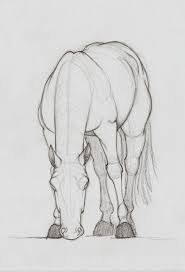 Pin On Drawing