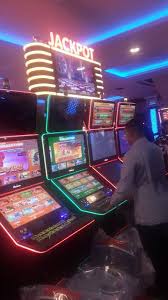 In georgetown, following an operation carried out the night before, members of the task force visited the sleepin hotel and casino and, at around 22:41 hrs, this newspaper received reports that the proprietor, clifton bacchus was arrested. Trained Sleepin Hotel Workers Eager For Casino Licence Stabroek News