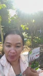 Ipit jud c George sa yes nga answer tanan🤣🤣 @highlight  #fbreelsfypシ゚viralfbreelsfypシ゚viral