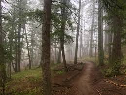 Maybe you would like to learn more about one of these? Channeling The Pnw On A Rainy Day On Enchanted Forest Trail In Golden Colorado Usa Hiking
