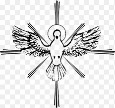 Insofern war die taube ein symbol des lebens und des friedens. Heiliger Geist Zeichnet Pfingsten Andere Schnabel Vogel Png Pngegg