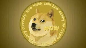 Para çevirisi 1 doge ile tl arasında gerçekleşmektedir. Rl1ii3u4n Mpvm