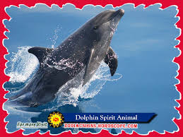 Check spelling or type a new query. Dolphin Spirit Animal Meaning Symbolism Dream Of Dolphin Totem