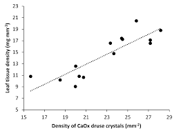 Maybe you would like to learn more about one of these? Plants Free Full Text Water Shortage Strongly Alters Formation Of Calcium Oxalate Druse Crystals And Leaf Traits In Fagopyrum Esculentum Html