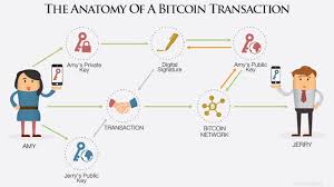 In 2020, emerging markets like nigeria skyrocketed their use of cryptocurrency wallets and apps thereby cranking up the numbers of new bitcoiners. What Is Bitcoin And How Does It Work Trace Mayer Explains Capitalism