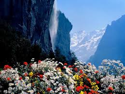 We did not find results for: Awesome Snowy Mountains Nature Mountains Background Download Top Free Photos