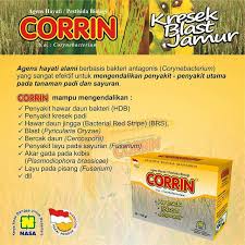 Agen hayati adalah setiap organisme yang meliputi spesies, sub spesies, atau varietas pengertian agens hayati menurut fao (1988) yang dikutip oleh khairdin (2012) adalah mikroorganisme, baik. Corrin Agen Hayati Bakteri Dan Fusarium Produk Nasa