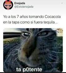 Pin De Fiorella En Memes Perrones En 2020 Memes Divertidos Memes Comicos Memes