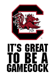 Tumblr Static Tumblrgraphic2 Png 300 412 Gamecocks Gamecock Nation Carolina Gamecocks